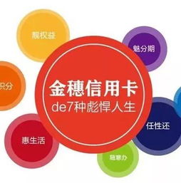 金穗溫州商人卡9周年歷程 金融創(chuàng)新與社會(huì)經(jīng)濟(jì)咨詢(xún)服務(wù)的雙輪驅(qū)動(dòng)